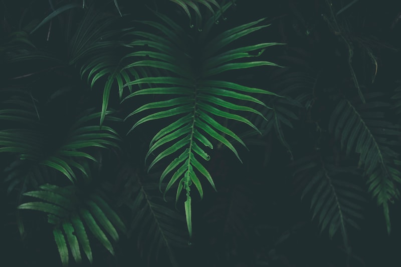 城市夜景车流长曝光|摄影技巧 - PictureHub
