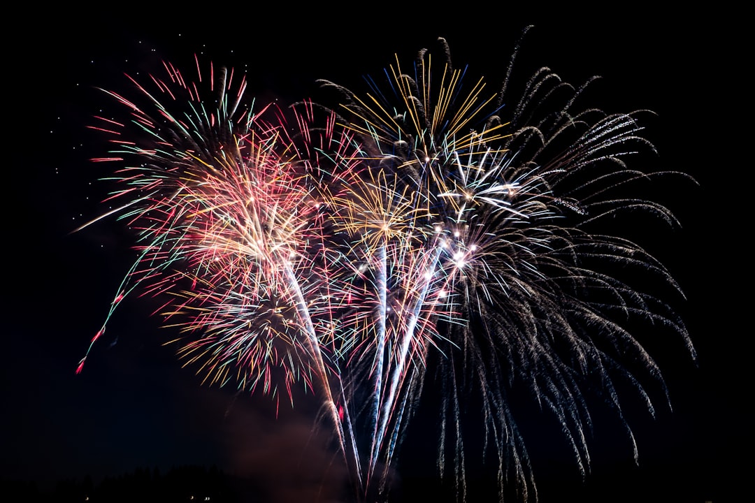 High-resolution fireworks at nighttime photo by Elisha Terada in 4th of July | PictureHub