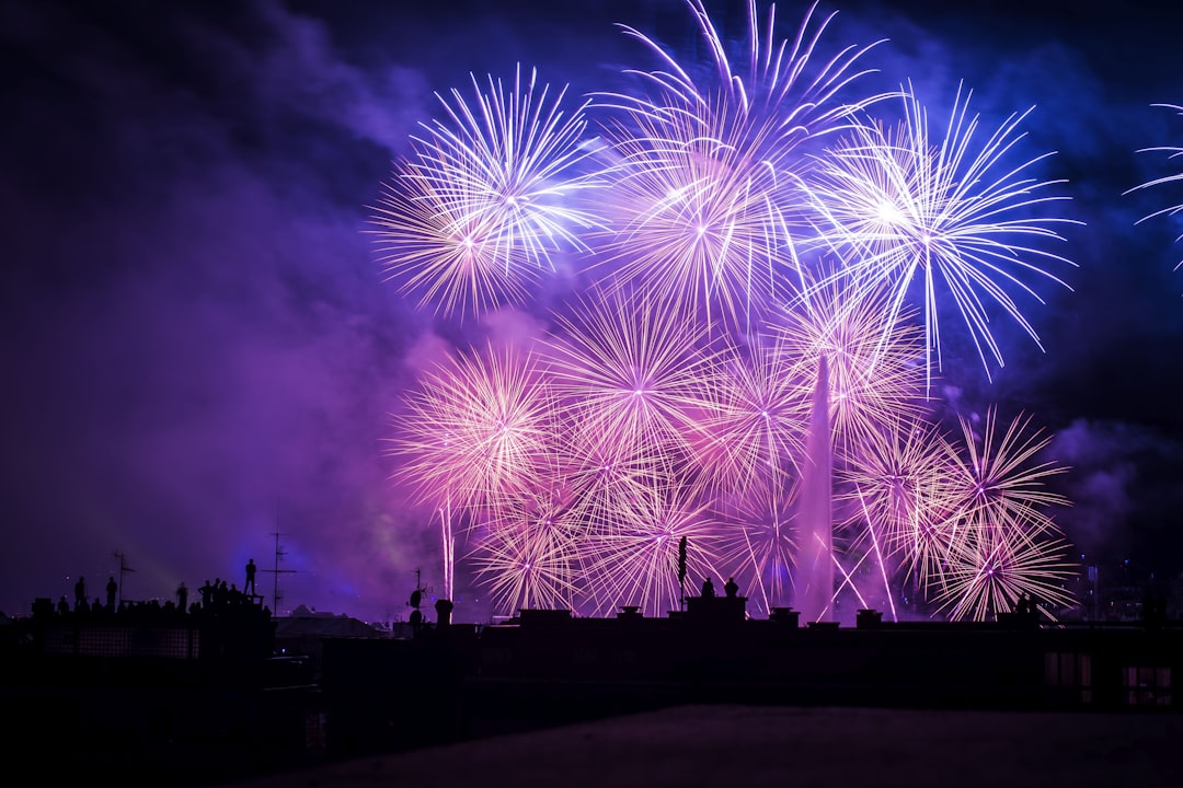 High-resolution silhouette of buildings with purple and pink fireworks display photo by ben o'bro in 4th of July | PictureHub