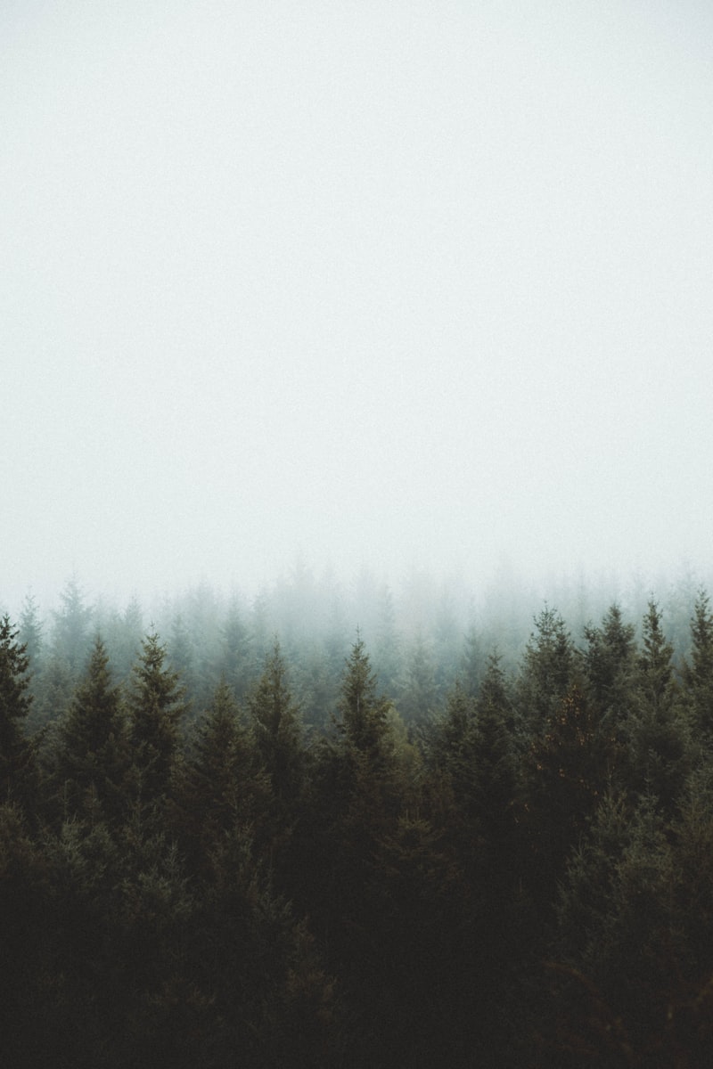 低色温K值营造的蔚蓝忧郁清晨|摄影技巧 - PictureHub