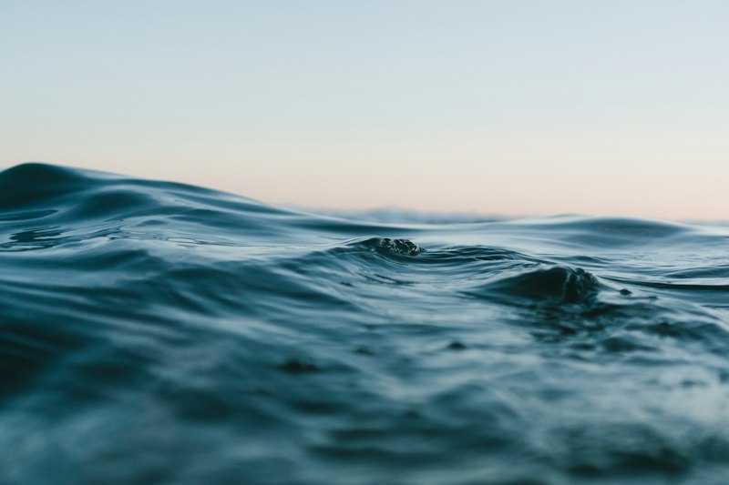 海边日落逆光剪影与湿地倒影|摄影技巧 - PictureHub
