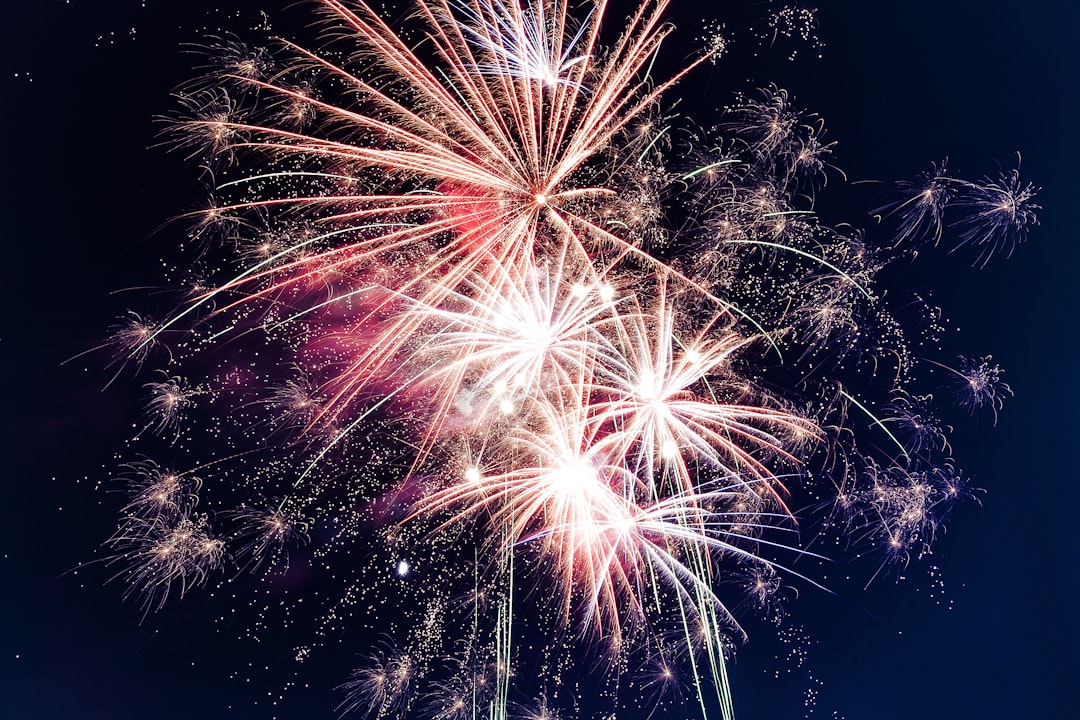 Roven Images 작가의 밤의 불꽃놀이 타임랩스 촬영 고화질 사진 - 4th of July 카테고리 | PictureHub