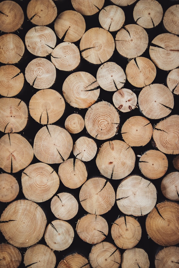 Collezione foto WOOD con 34 immagini HD selezionate | PictureHub
