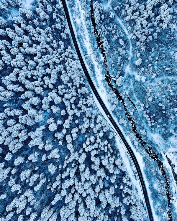 包含 19 张 The Colours Of Nature 高清图片的精选合辑  | PictureHub