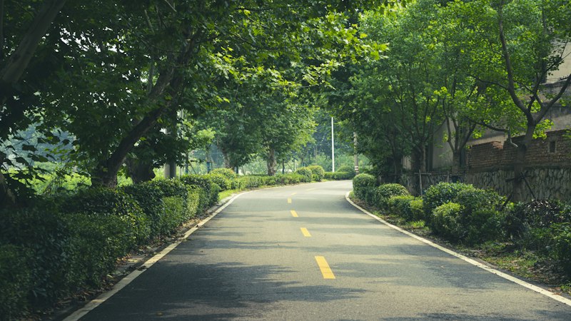 绿荫小路透视光影与清爽风光摄影|摄影技巧 - PictureHub
