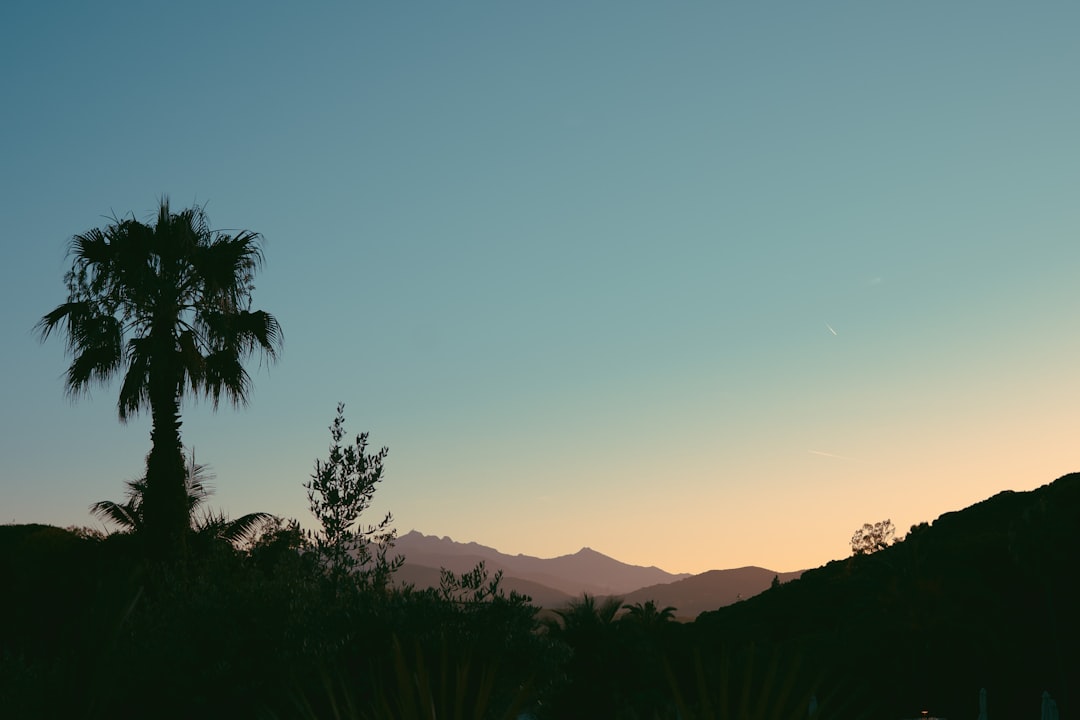 High-resolution palm tree and mountains silhouetted against a gradient sky photo by Emanuel Haas in Featured | PictureHub