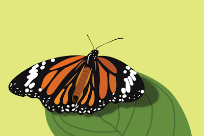 Drawn from Nature Photography Topic with 277 curated HD images | PictureHub